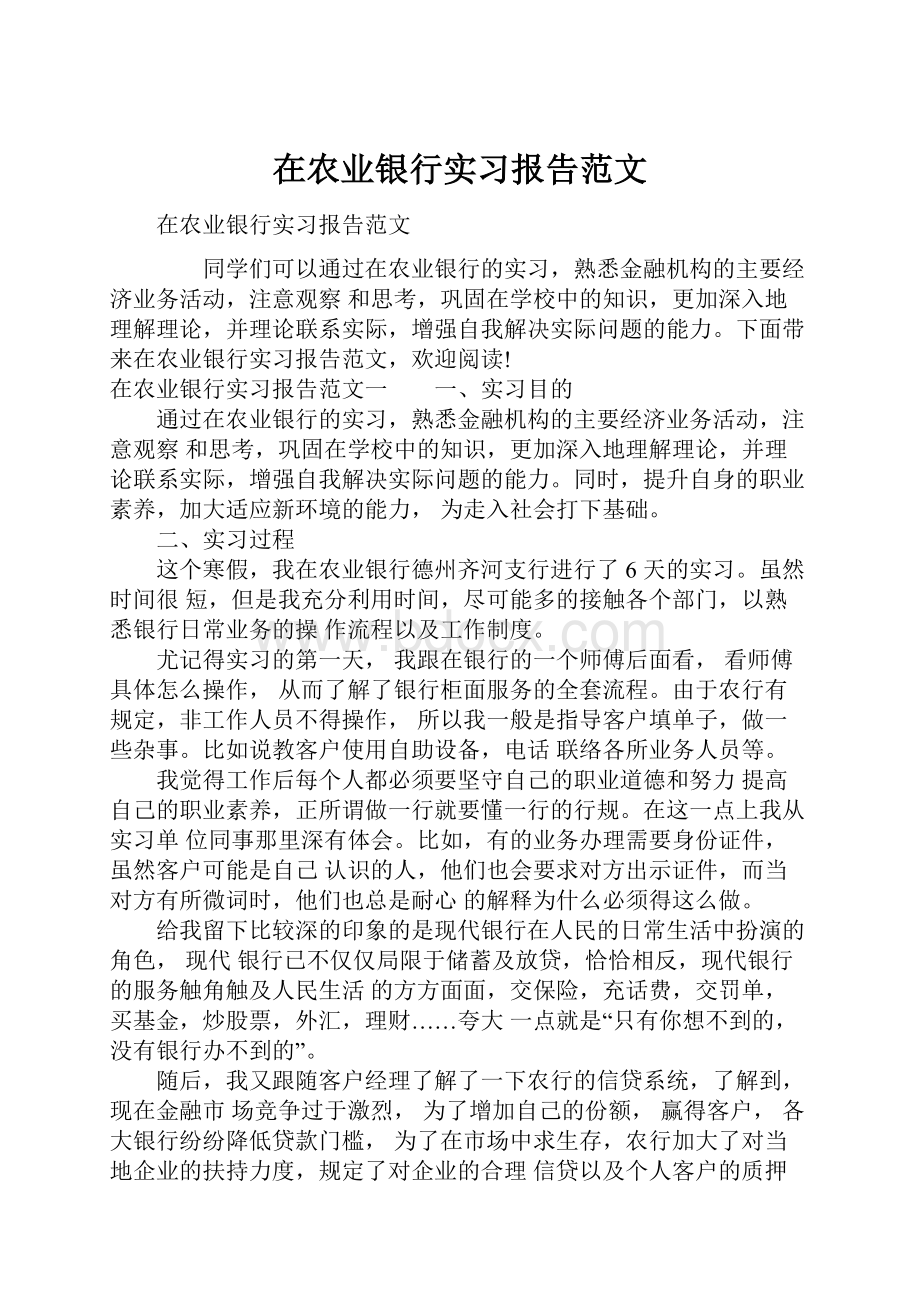 在农业银行实习报告范文Word文档下载推荐.docx