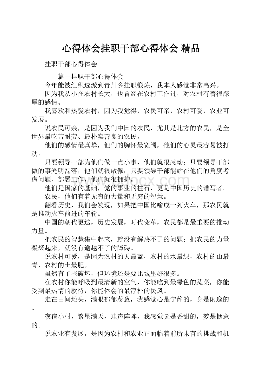 心得体会挂职干部心得体会 精品.docx