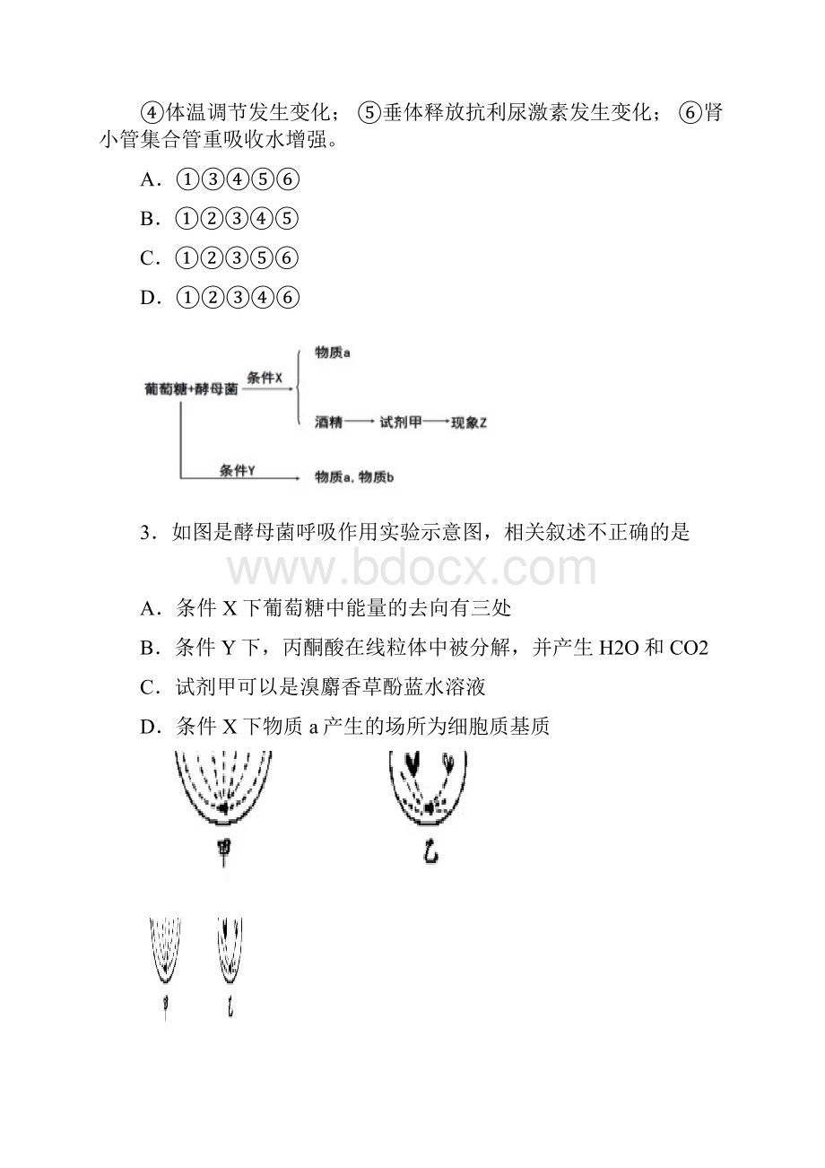 云南省红河州届高三理综复习统一检测试题.docx_第2页