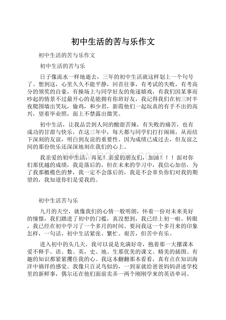 初中生活的苦与乐作文.docx