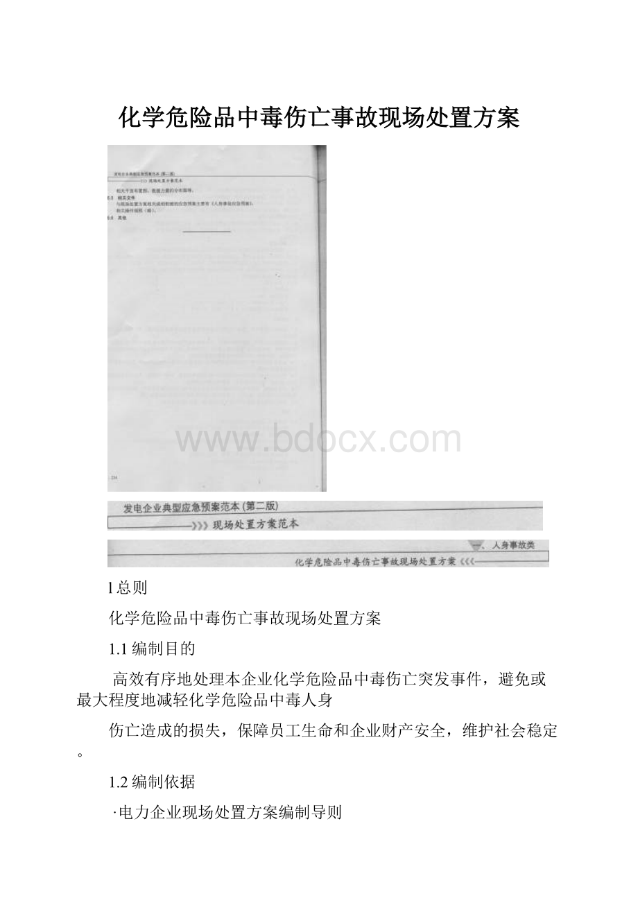 化学危险品中毒伤亡事故现场处置方案Word格式文档下载.docx_第1页