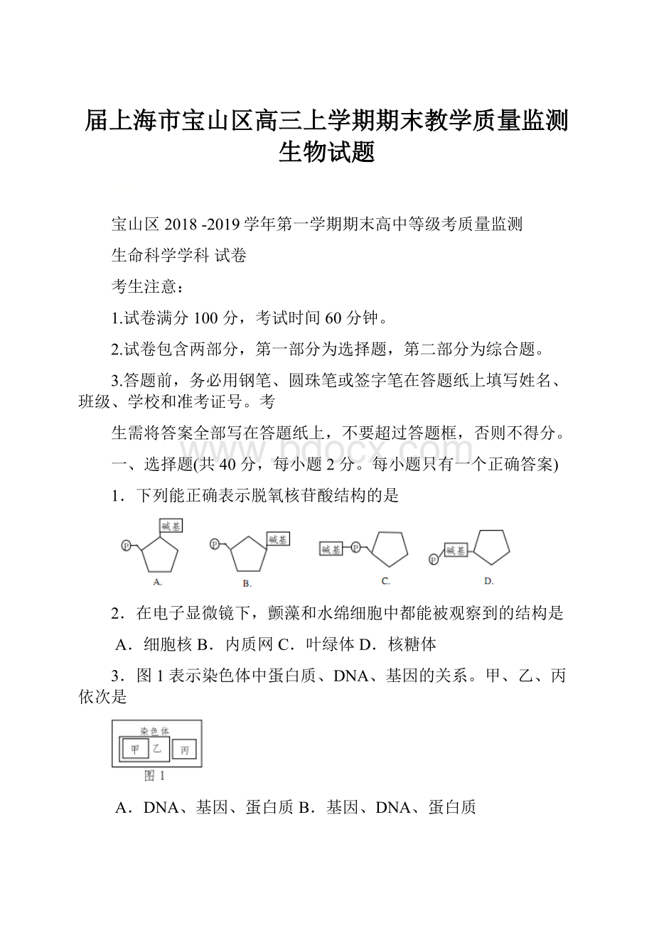 届上海市宝山区高三上学期期末教学质量监测生物试题.docx_第1页