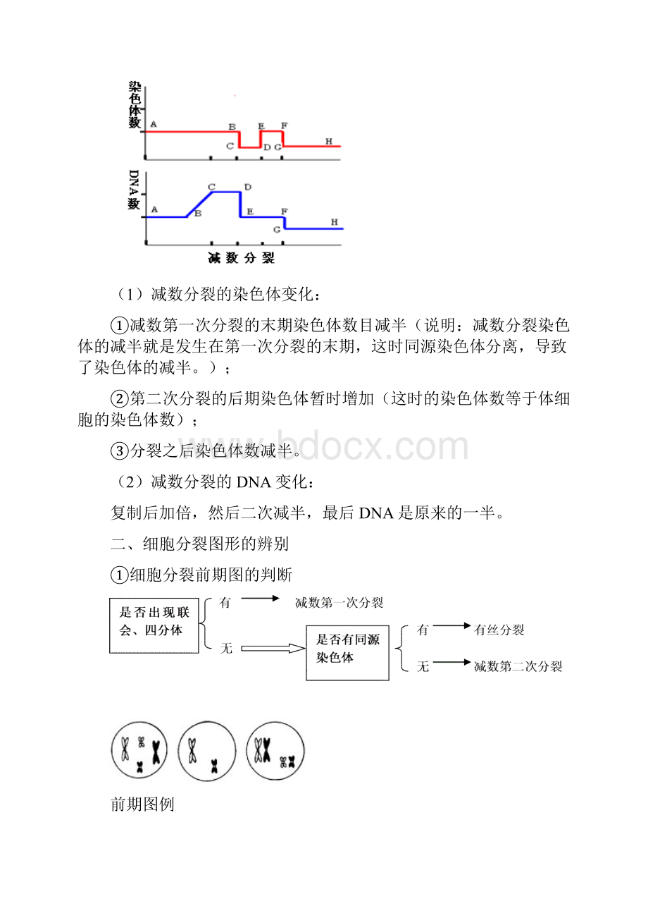 新课标高考生物二轮复习专题三《细胞的生命历程》.docx_第2页