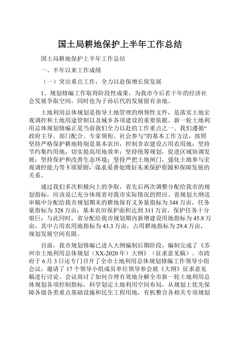 国土局耕地保护上半年工作总结.docx