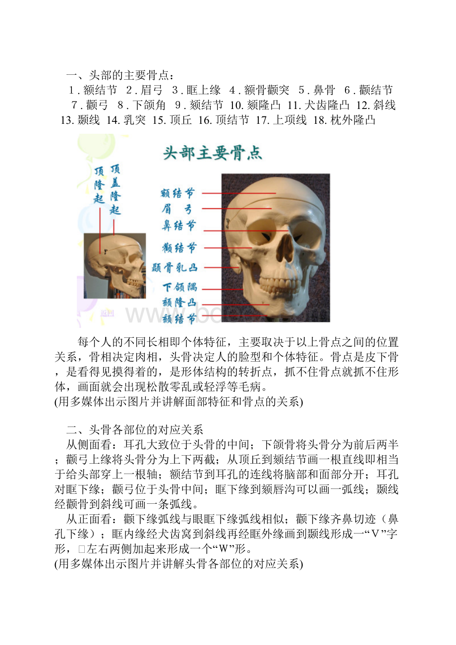 头部的解剖结构和形体结构.docx_第3页