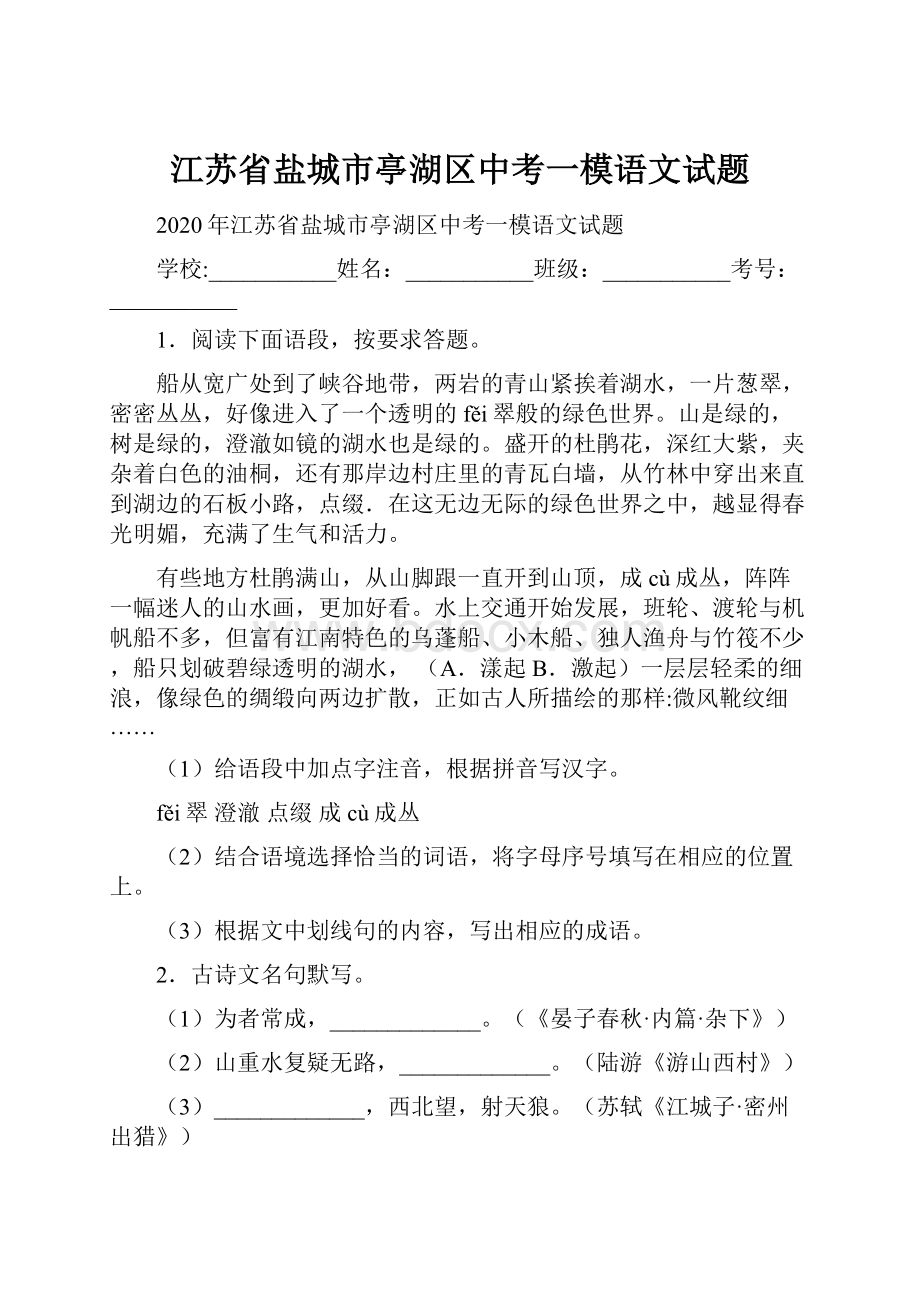 江苏省盐城市亭湖区中考一模语文试题.docx