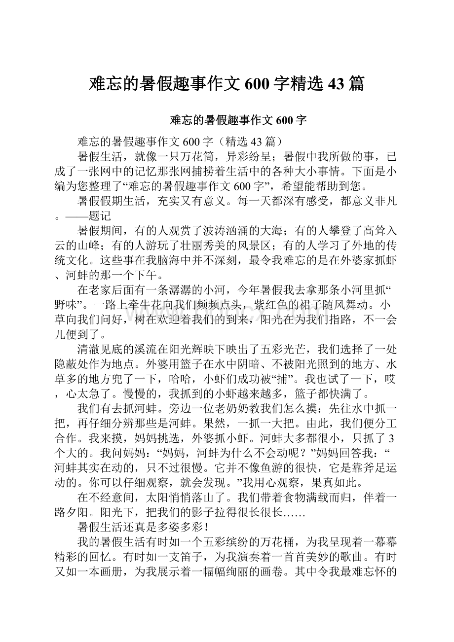 难忘的暑假趣事作文600字精选43篇.docx_第1页