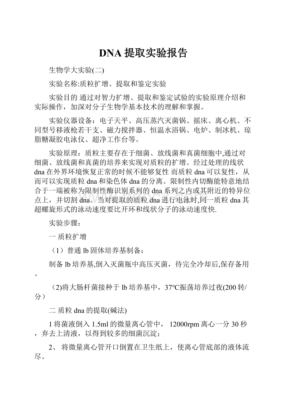 DNA提取实验报告.docx