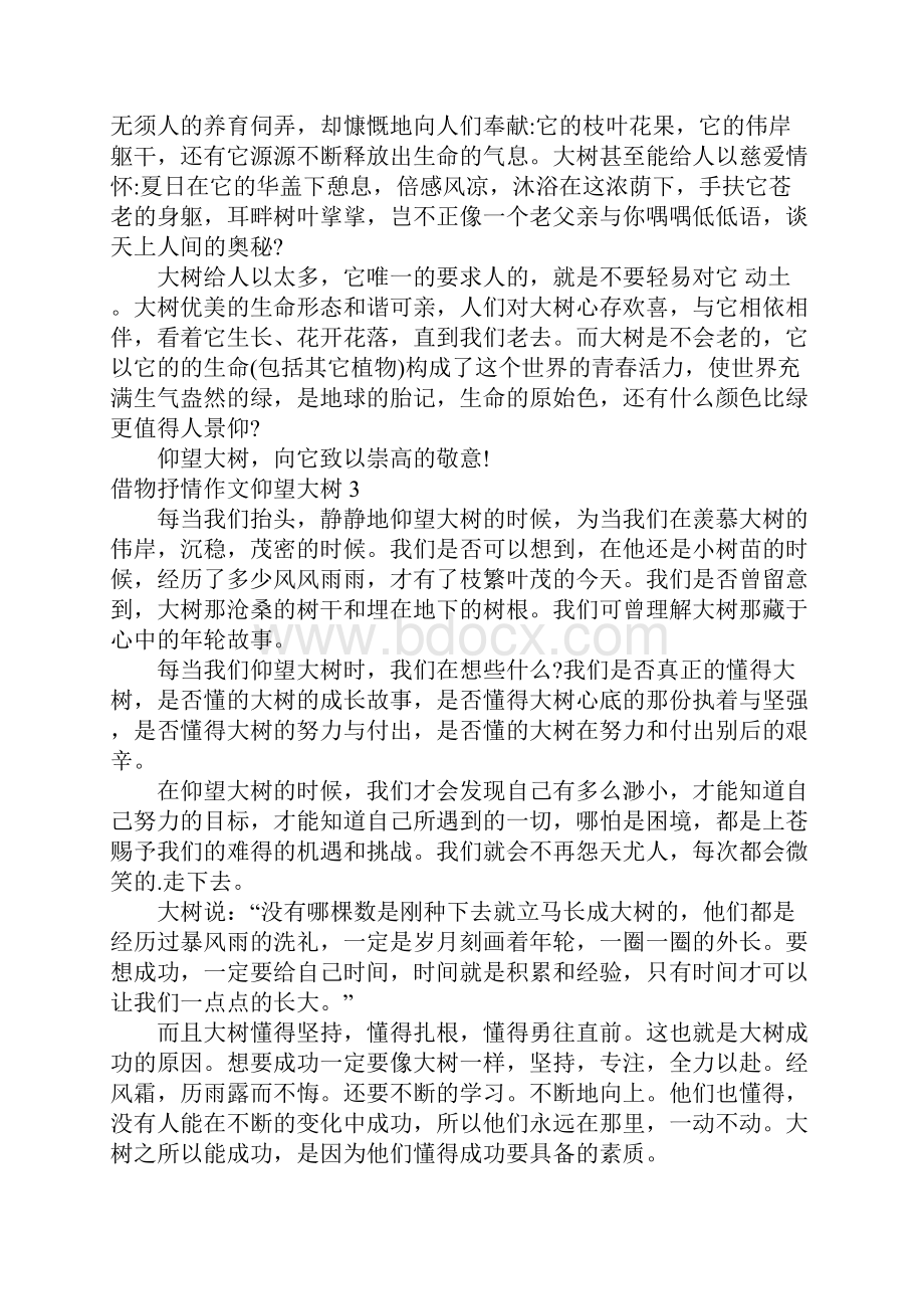 借物抒情作文仰望大树.docx_第2页