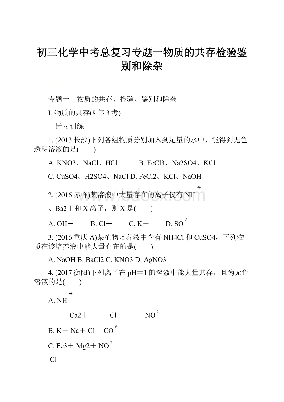 初三化学中考总复习专题一物质的共存检验鉴别和除杂Word格式文档下载.docx