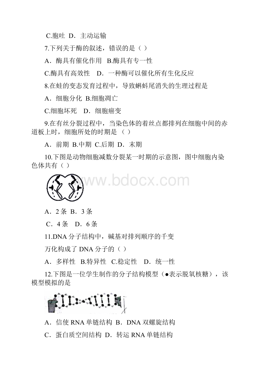 江苏学业水平测试生物含答案.docx_第2页