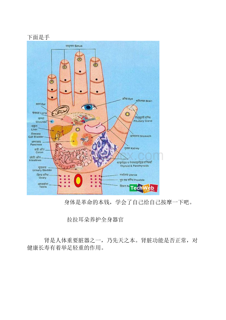 太晚睡觉等于自杀.docx_第3页