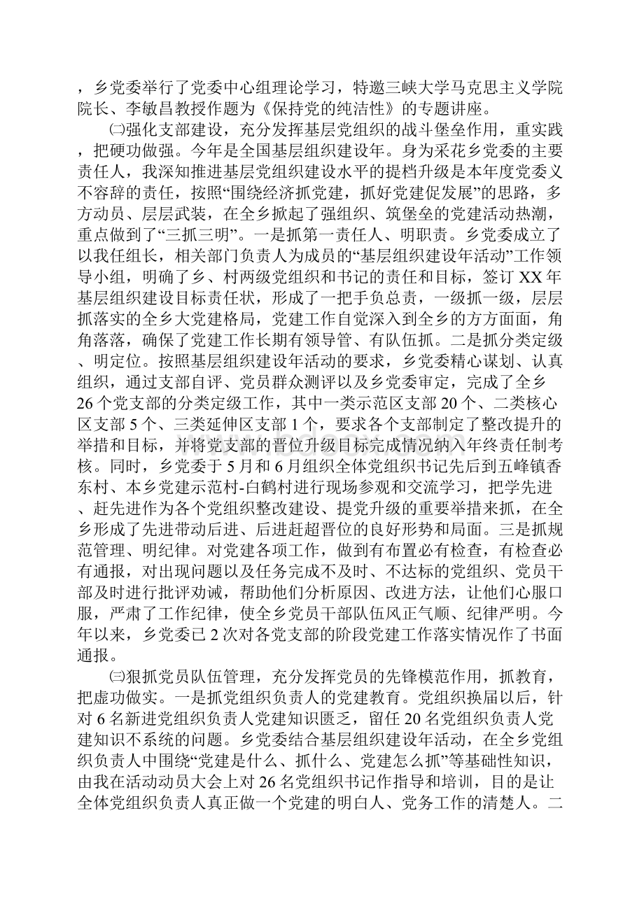 XX最新党委书记述职报告1文档格式.docx_第2页