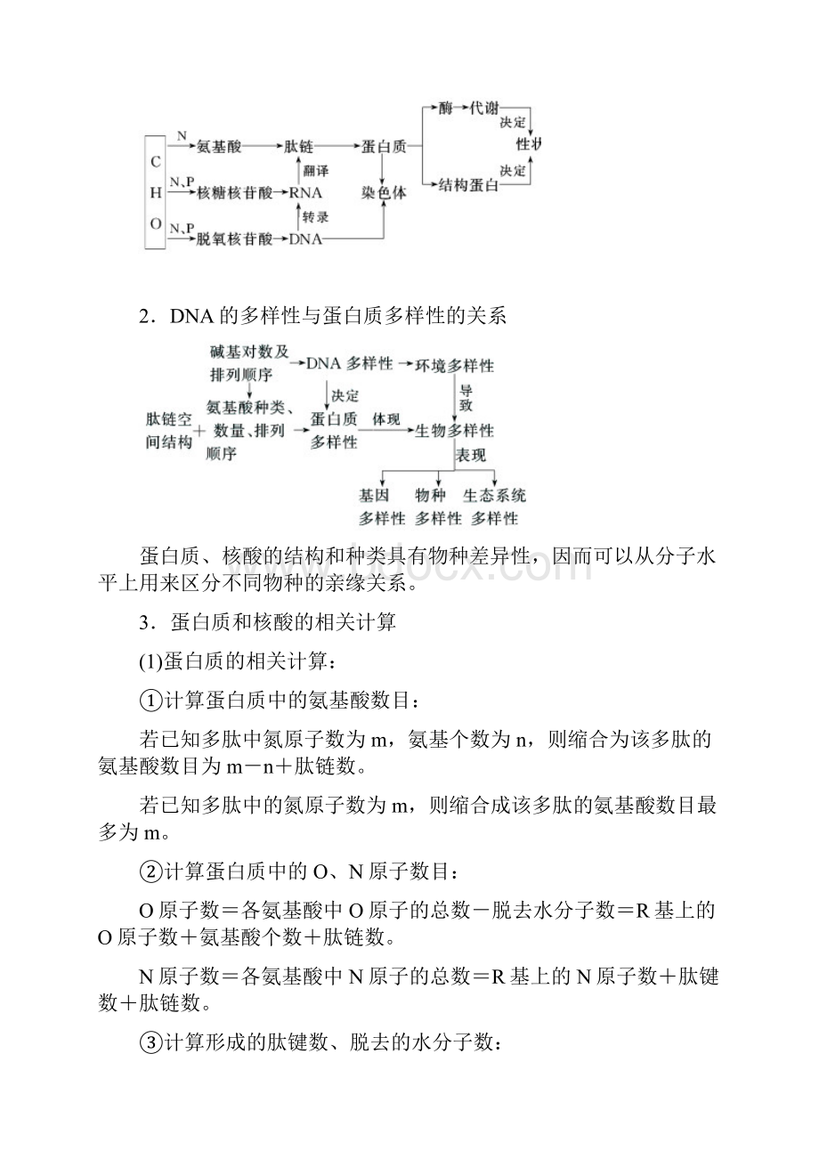 专题01 细胞的分子组成教学案.docx_第2页