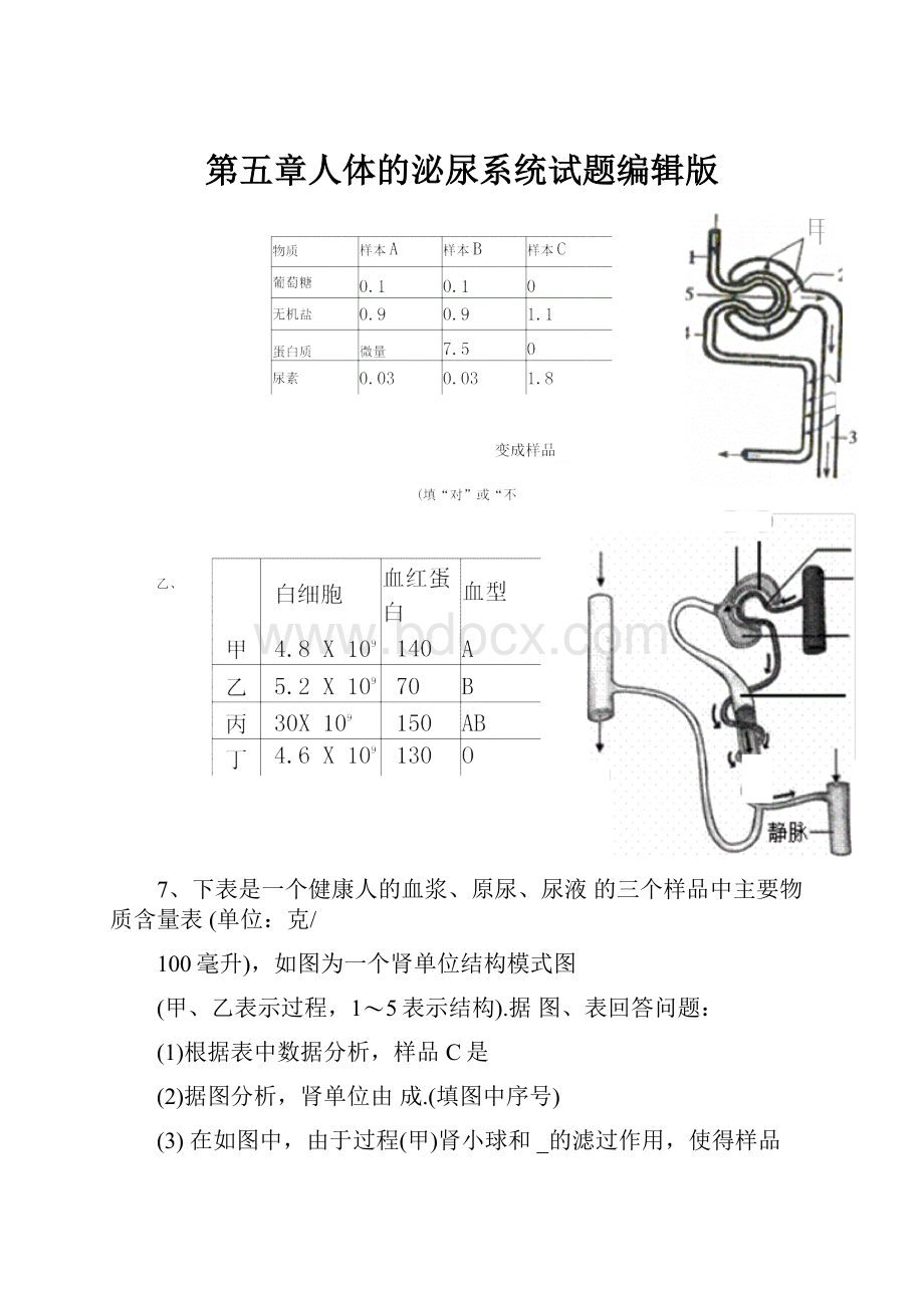 第五章人体的泌尿系统试题编辑版.docx