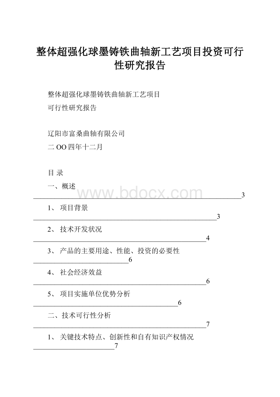 整体超强化球墨铸铁曲轴新工艺项目投资可行性研究报告.docx