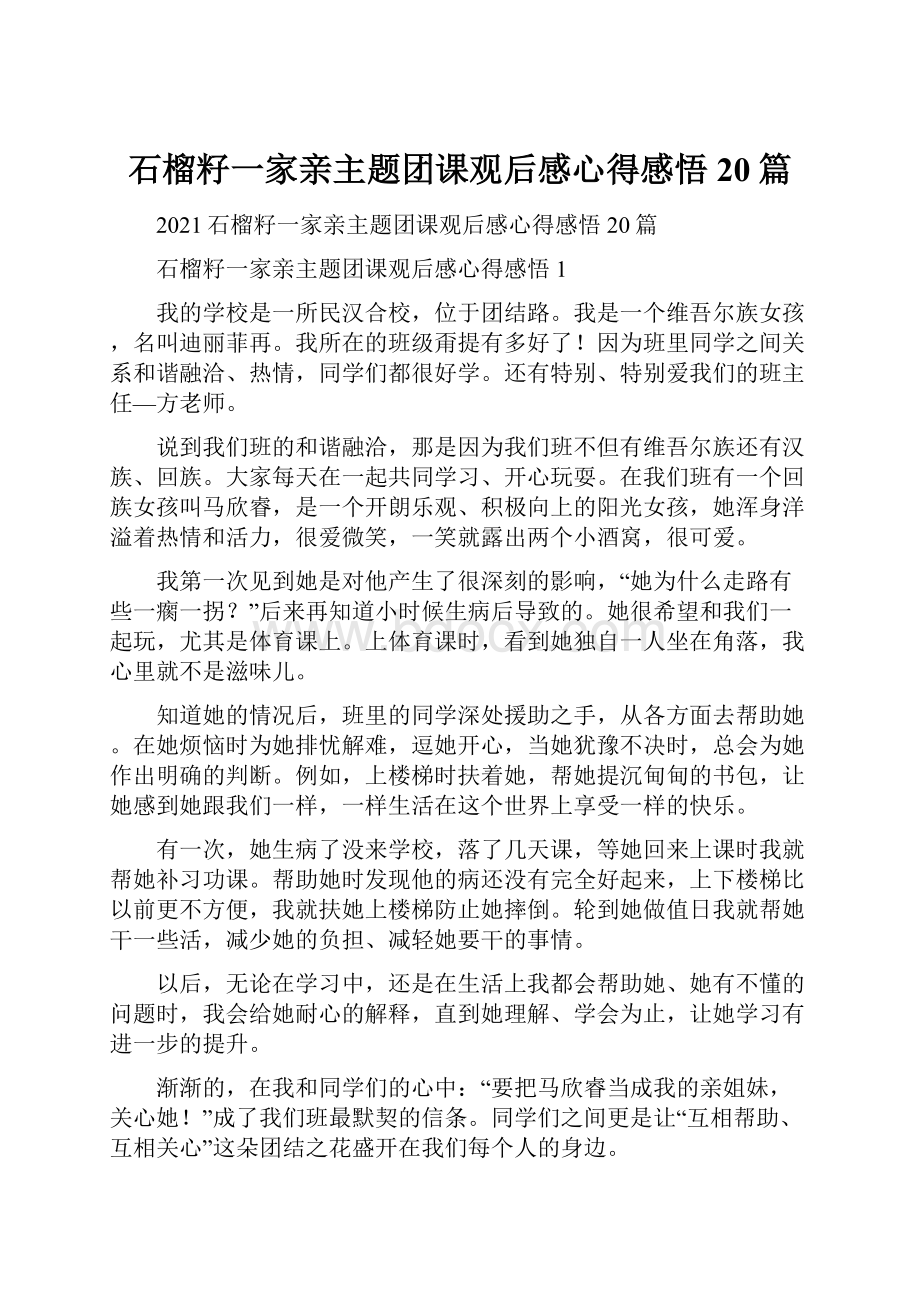 石榴籽一家亲主题团课观后感心得感悟20篇.docx