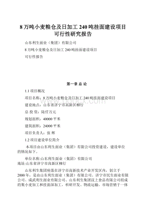 8万吨小麦粮仓及日加工240吨挂面建设项目可行性研究报告Word文档格式.docx