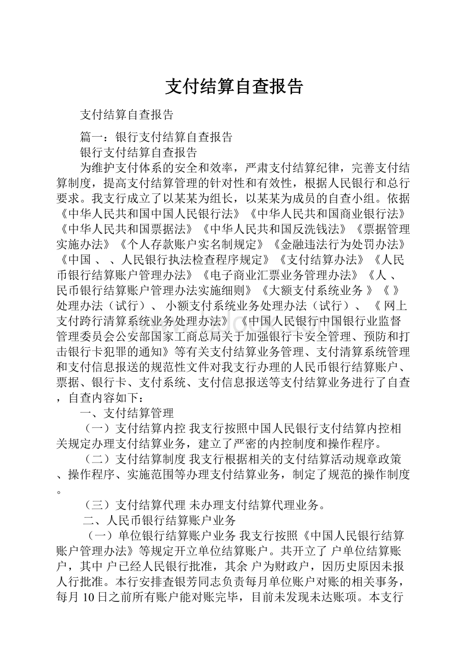 支付结算自查报告.docx_第1页