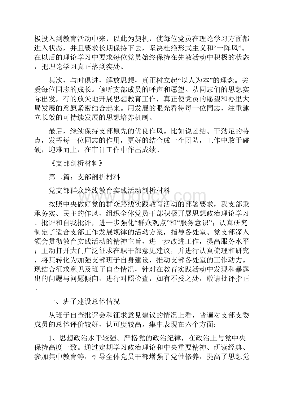 支部班子剖析材料精选多篇.docx_第3页