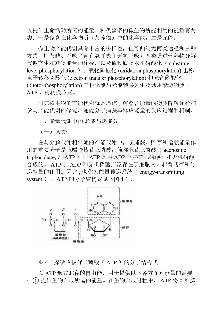 微生物产能代谢途径合集很有用.docx_第2页