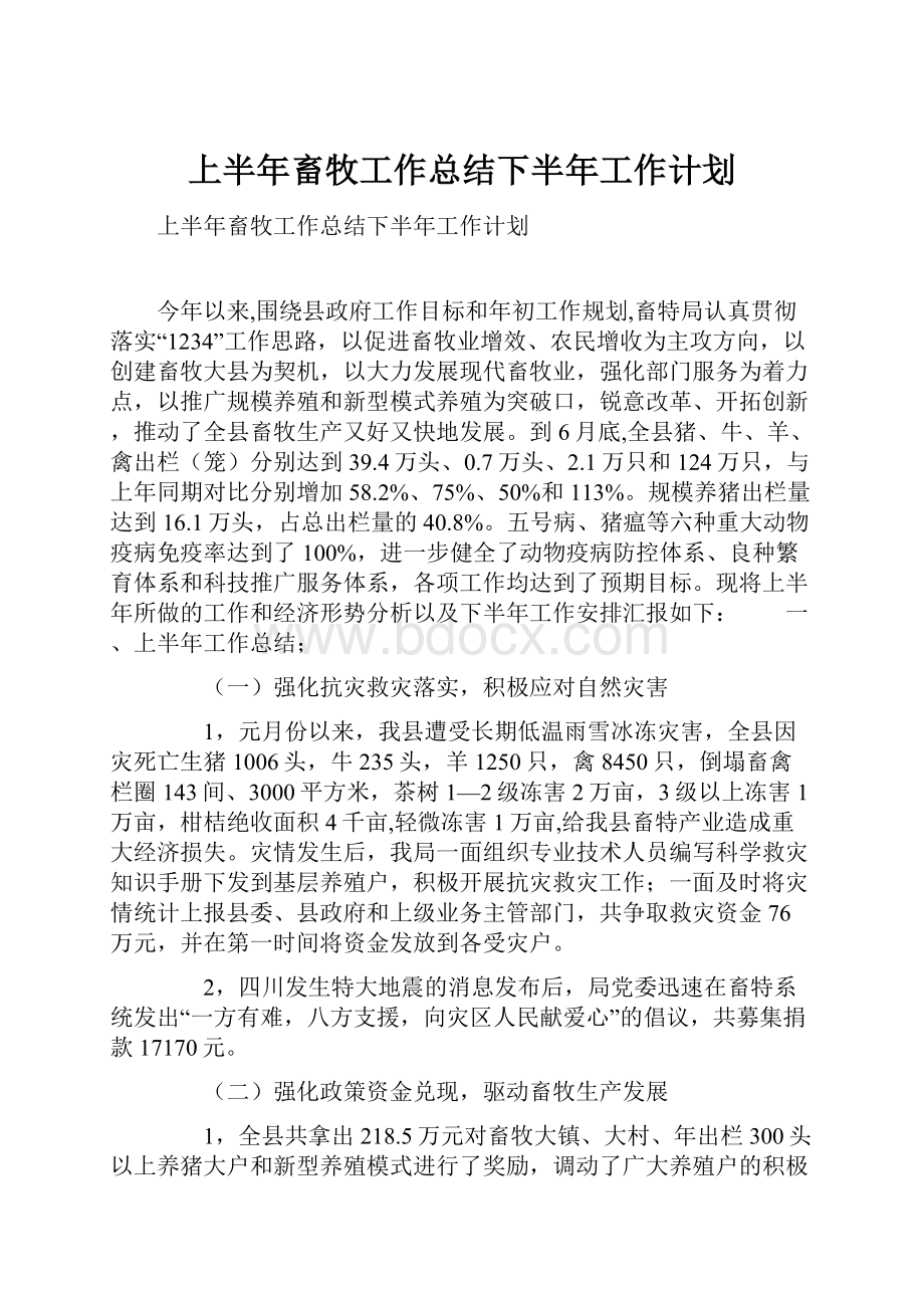 上半年畜牧工作总结下半年工作计划.docx