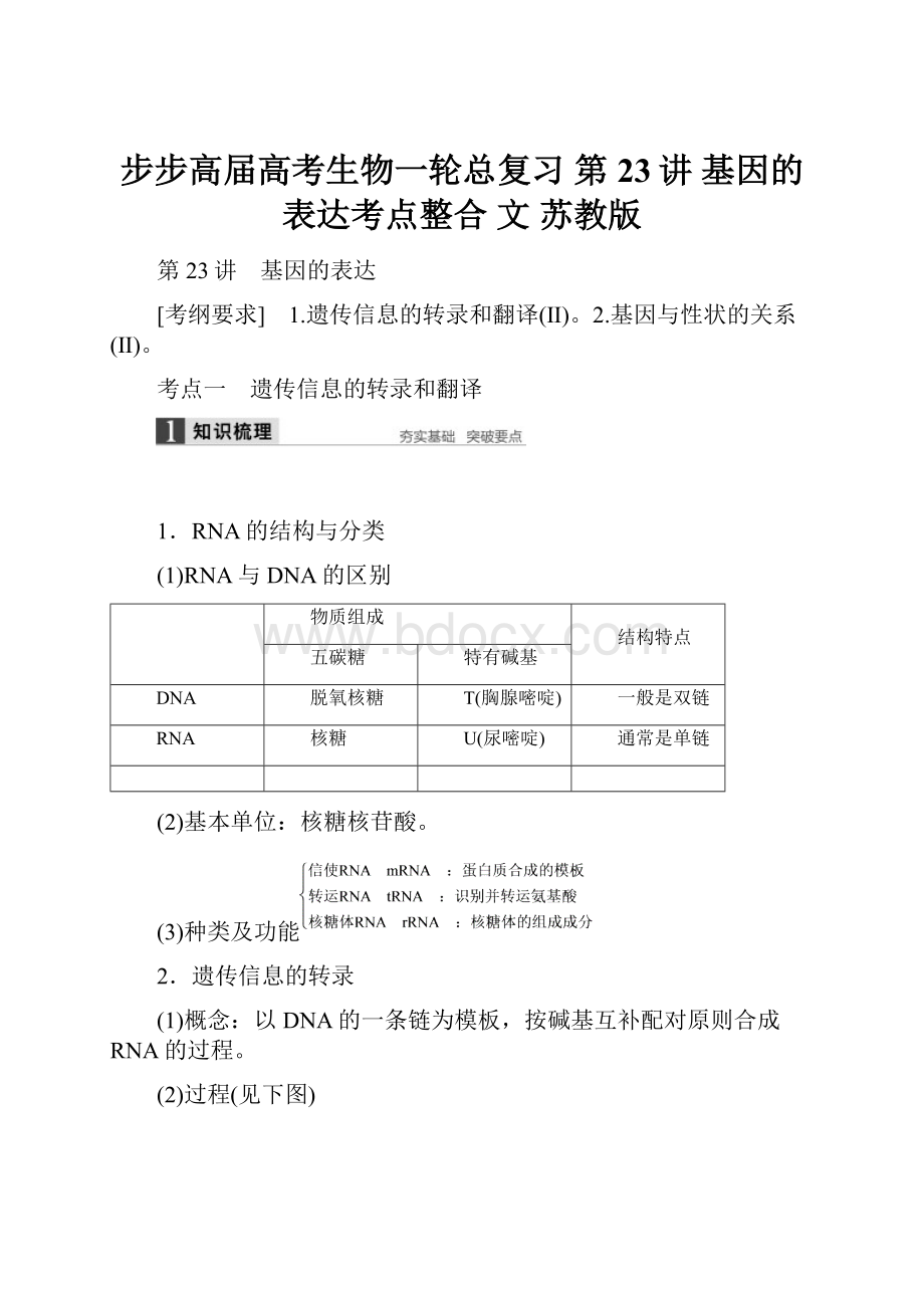 步步高届高考生物一轮总复习 第23讲 基因的表达考点整合 文 苏教版.docx