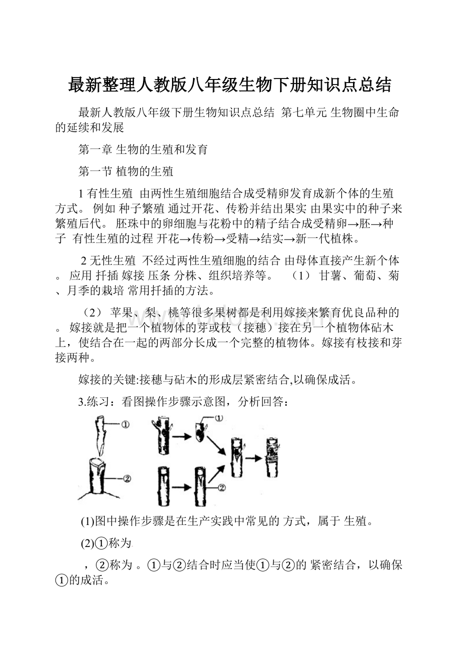 最新整理人教版八年级生物下册知识点总结.docx_第1页