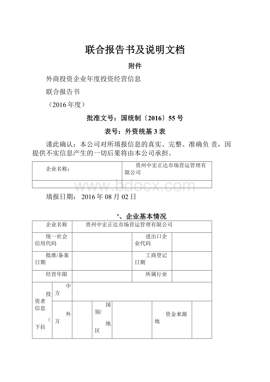 联合报告书及说明文档.docx_第1页