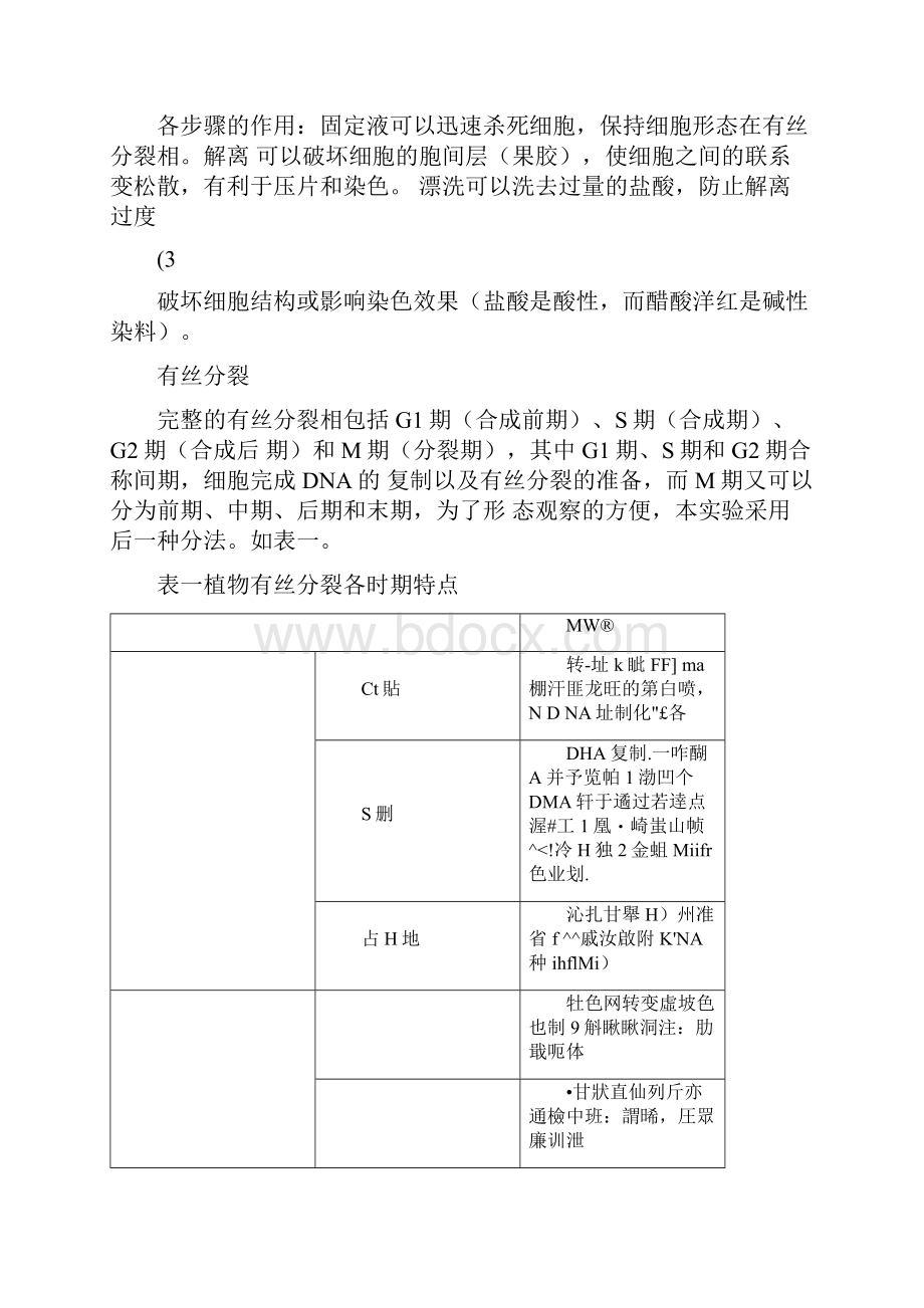 大蒜根尖染色体观察实验.docx_第2页