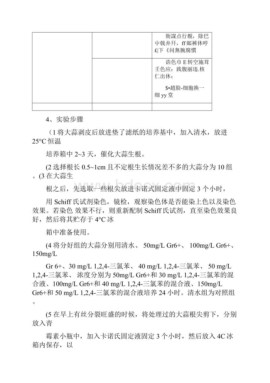 大蒜根尖染色体观察实验.docx_第3页