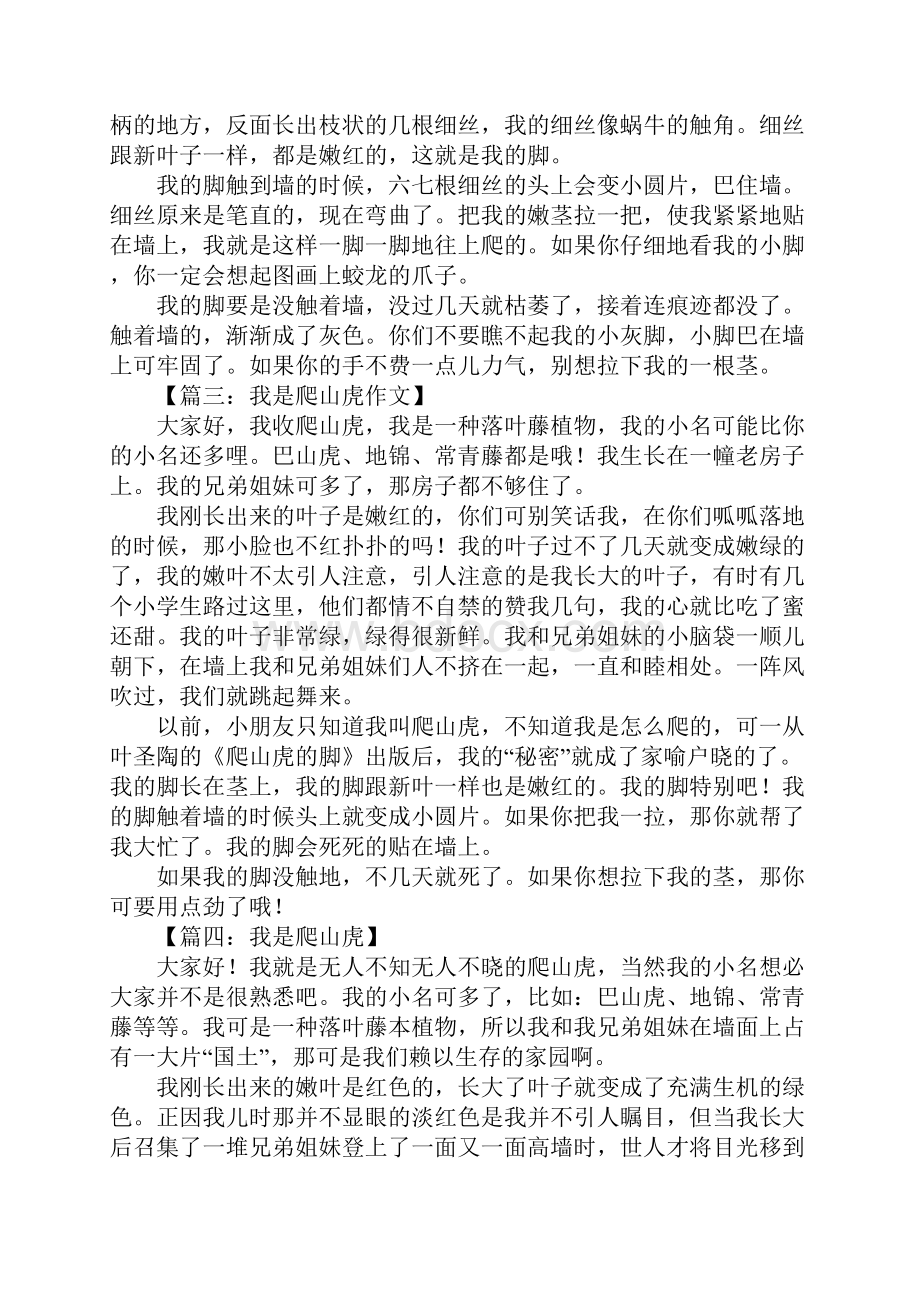 我是爬山虎作文400字.docx_第2页