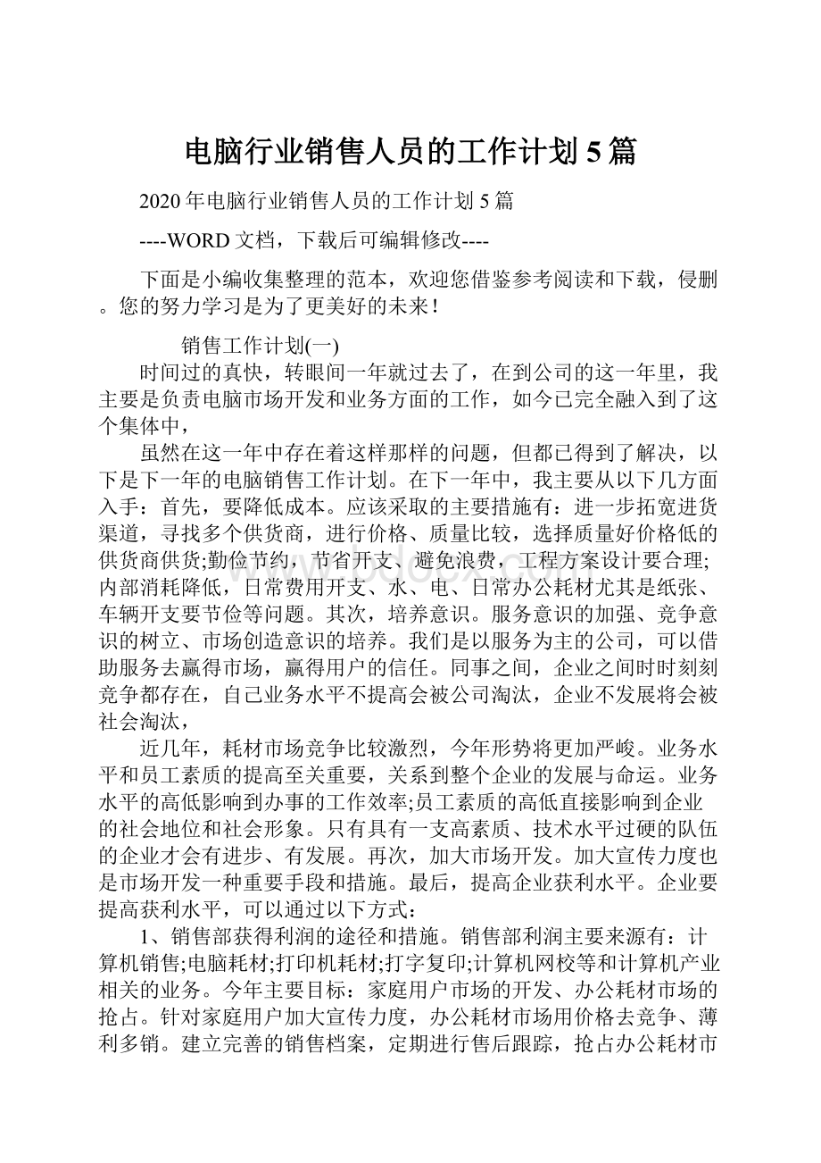 电脑行业销售人员的工作计划5篇.docx