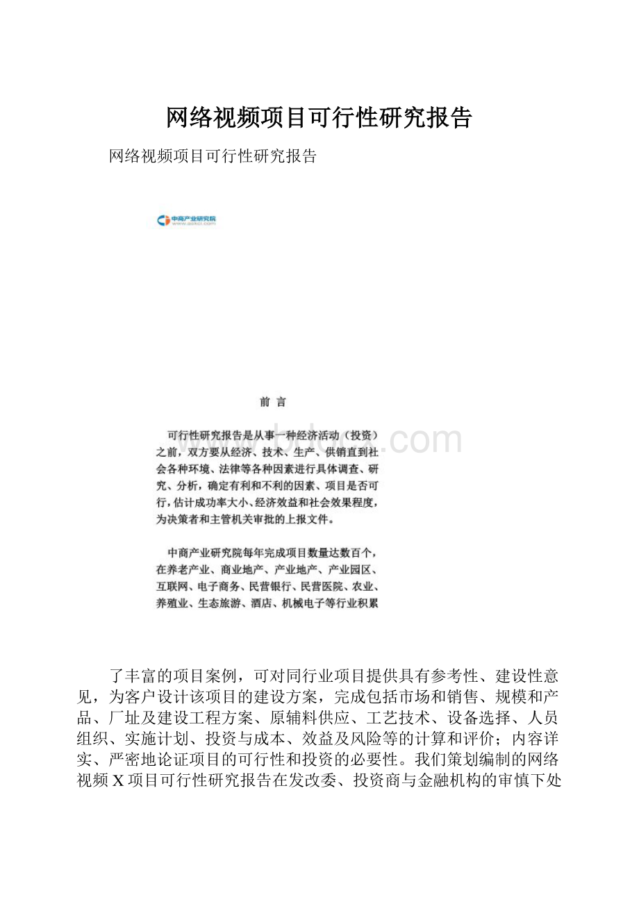 网络视频项目可行性研究报告.docx