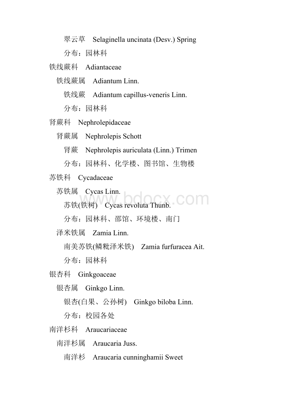 山东大学东区新校维管植物名录.docx_第3页