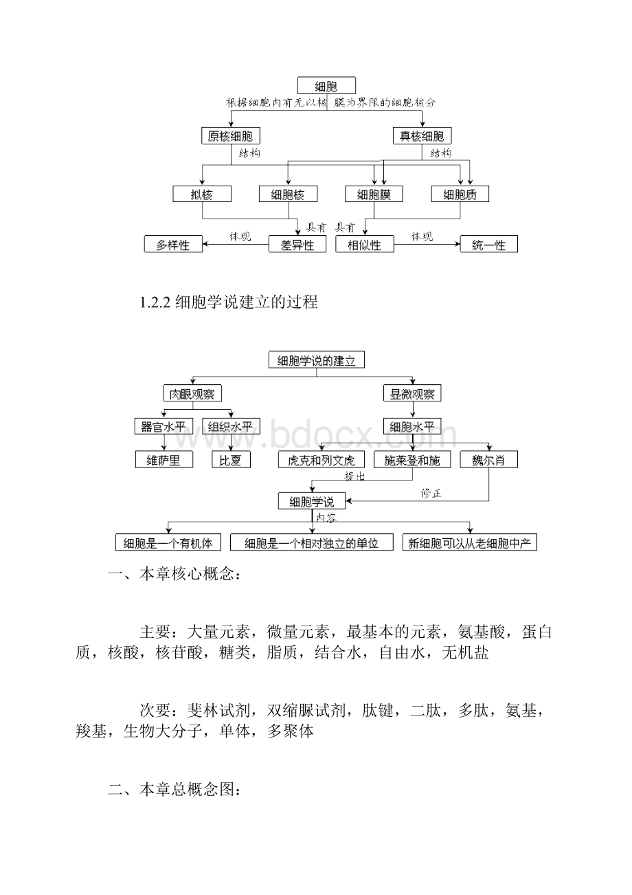 走进细胞 概念图汇编doc.docx_第3页