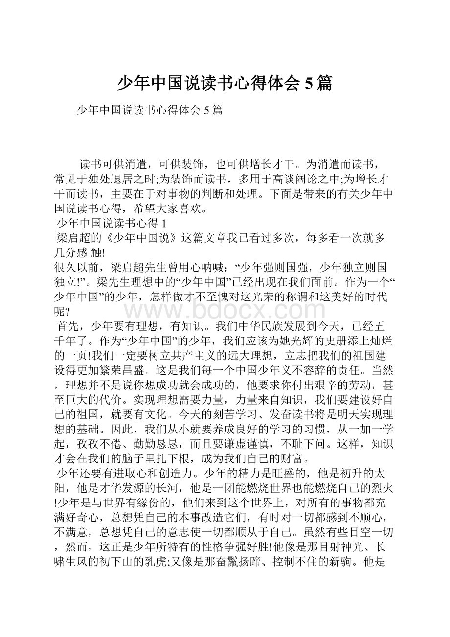 少年中国说读书心得体会5篇文档格式.docx_第1页