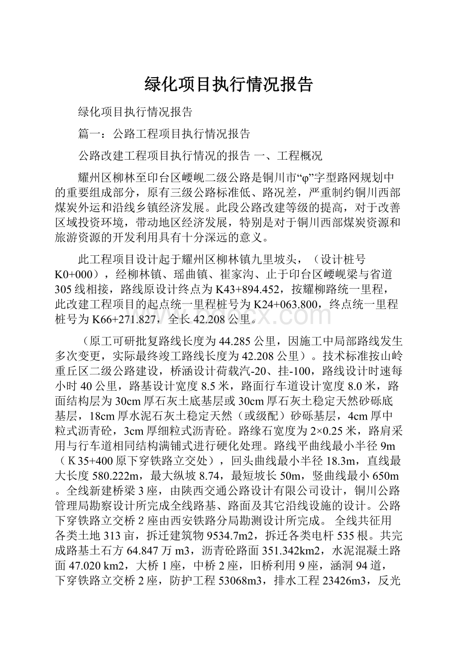 绿化项目执行情况报告.docx