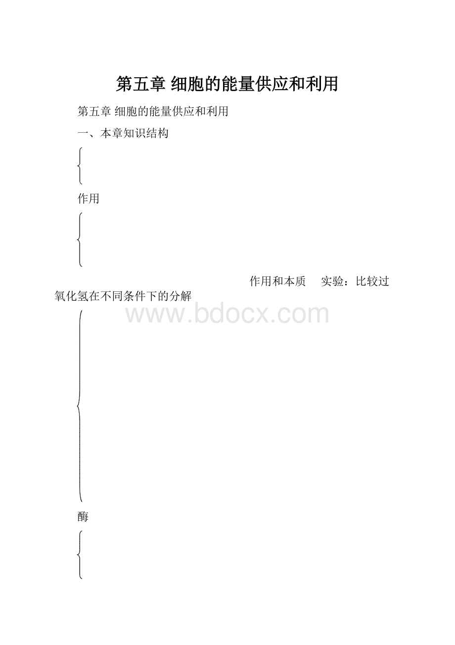 第五章细胞的能量供应和利用Word文件下载.docx_第1页