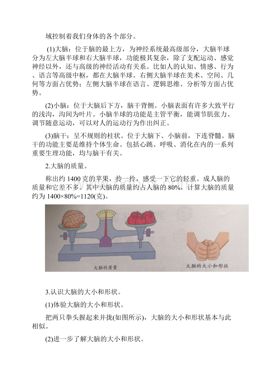 19我们的大脑教案教学设计.docx_第2页