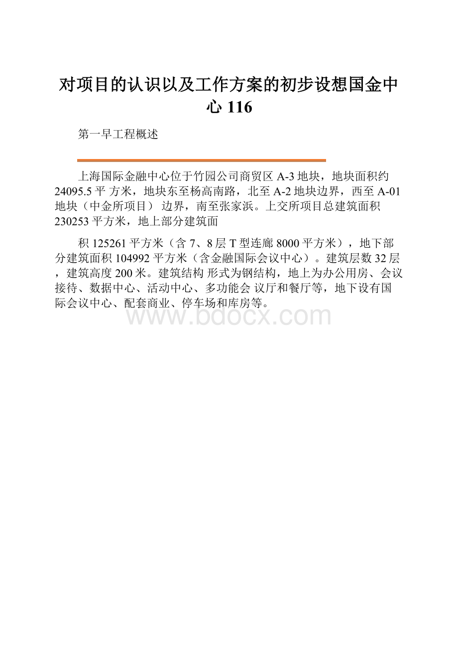 对项目的认识以及工作方案的初步设想国金中心116.docx_第1页