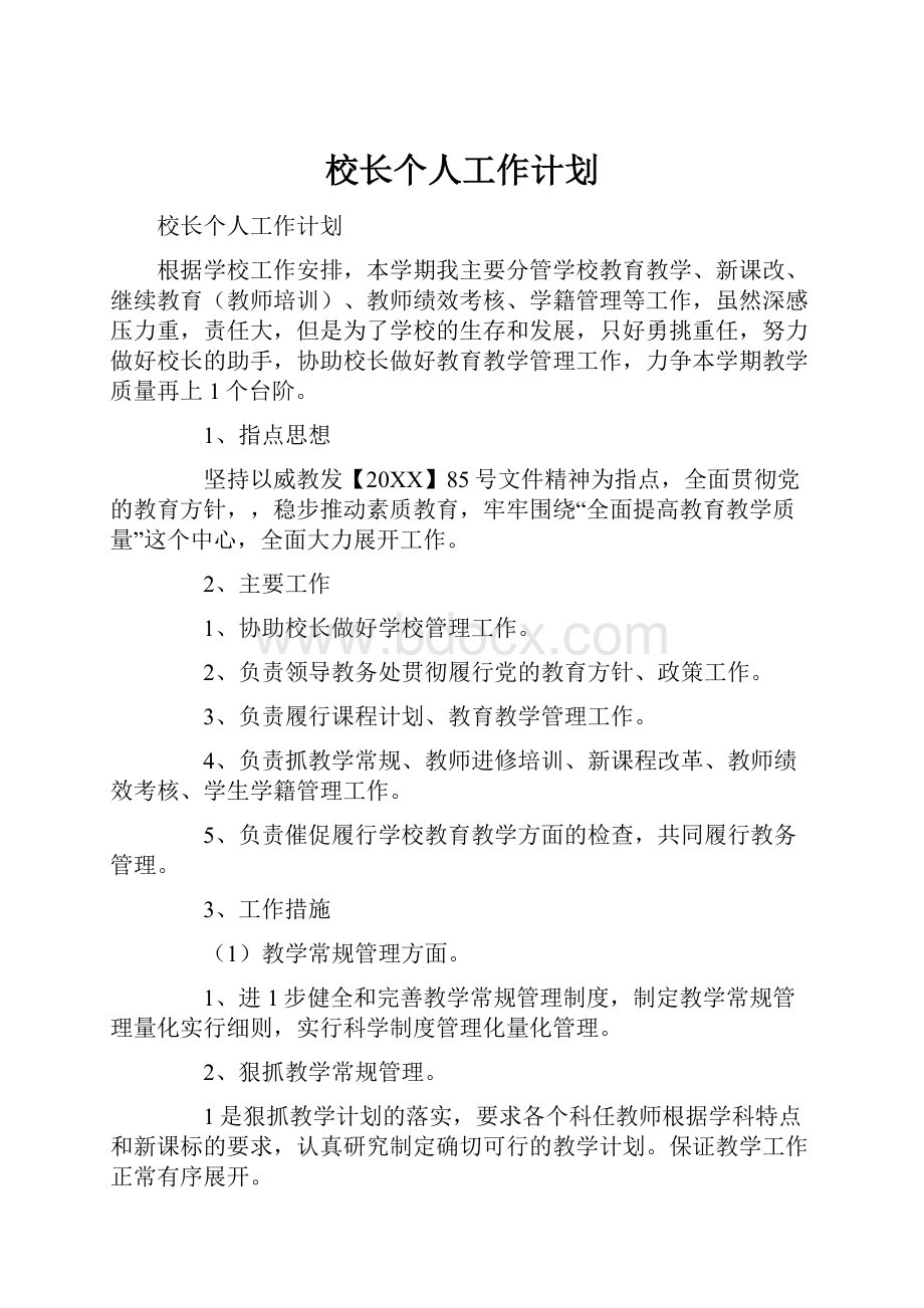 校长个人工作计划.docx