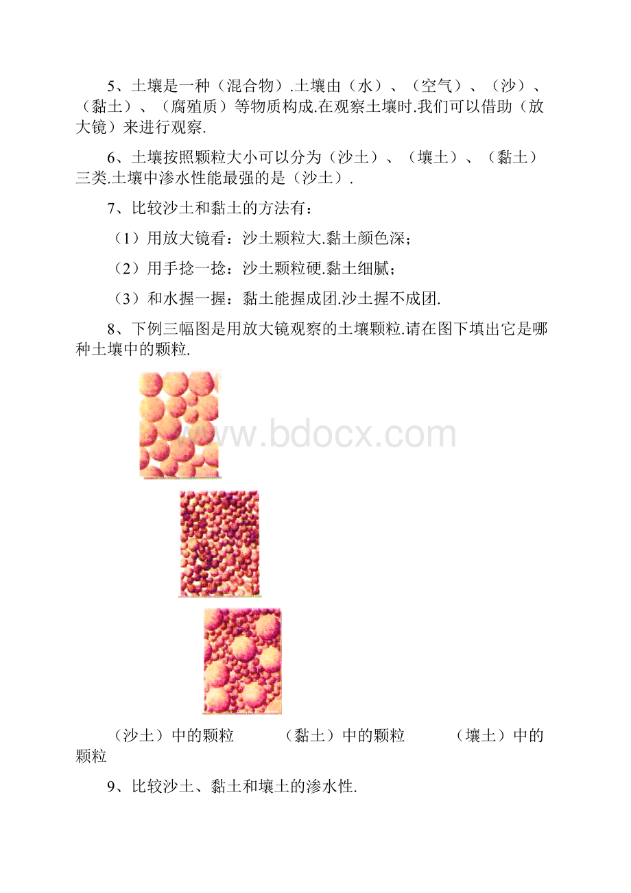 苏教版三年级科学下册复习资料.docx_第2页