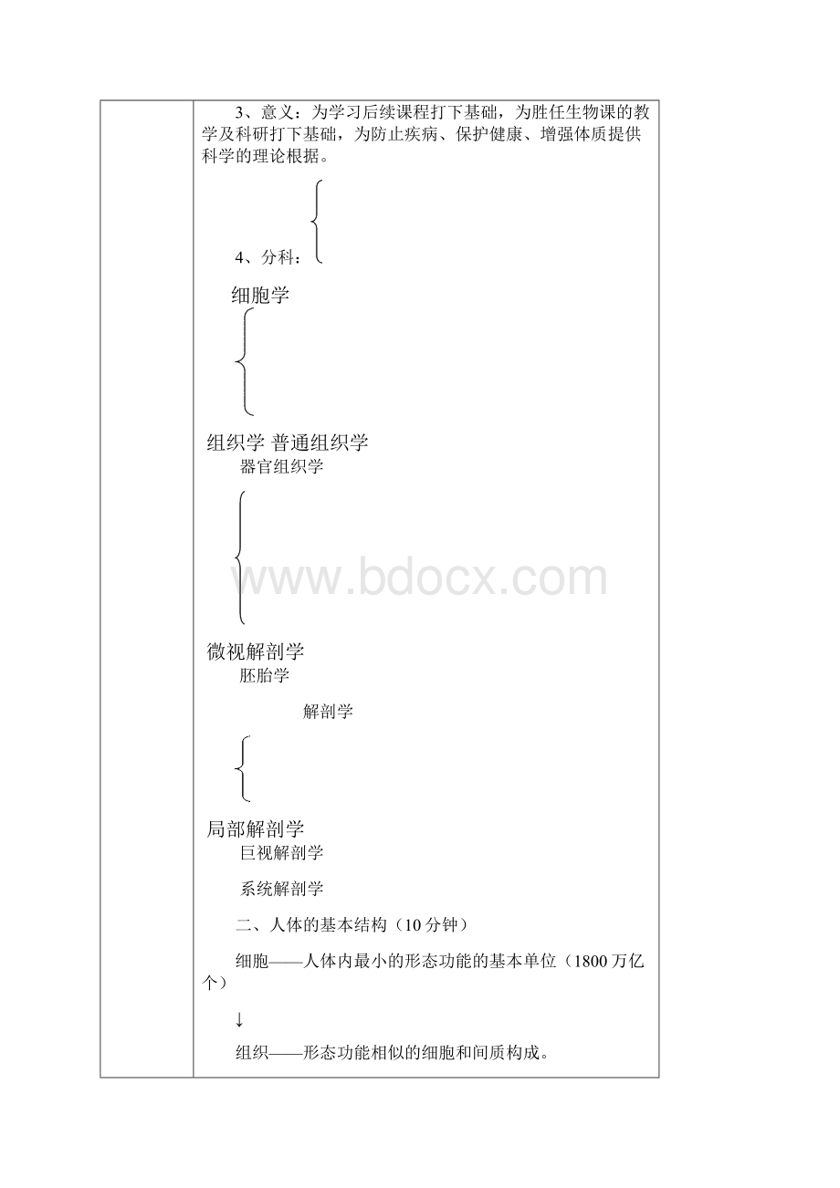 人体组织学与解剖学授课教案.docx_第2页