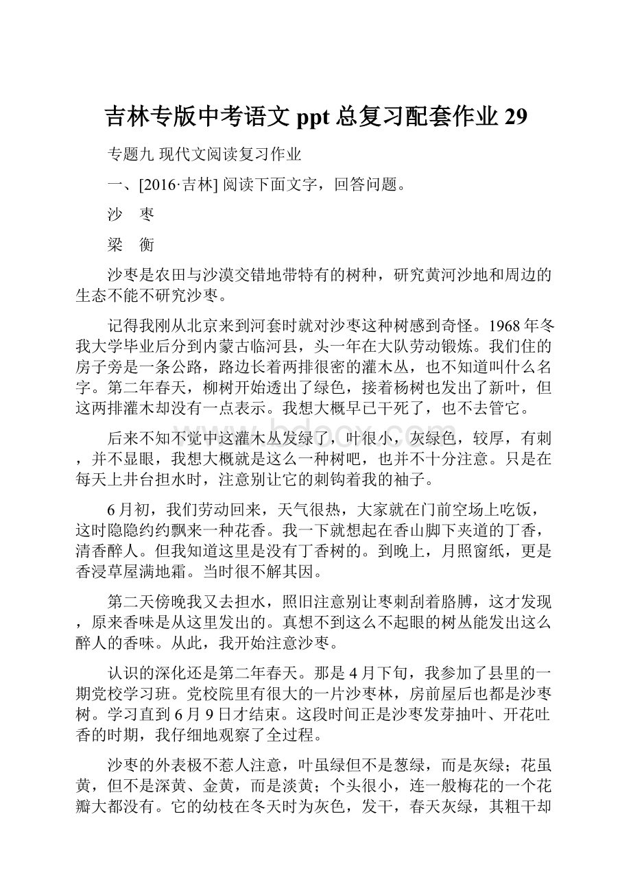 吉林专版中考语文ppt总复习配套作业29.docx