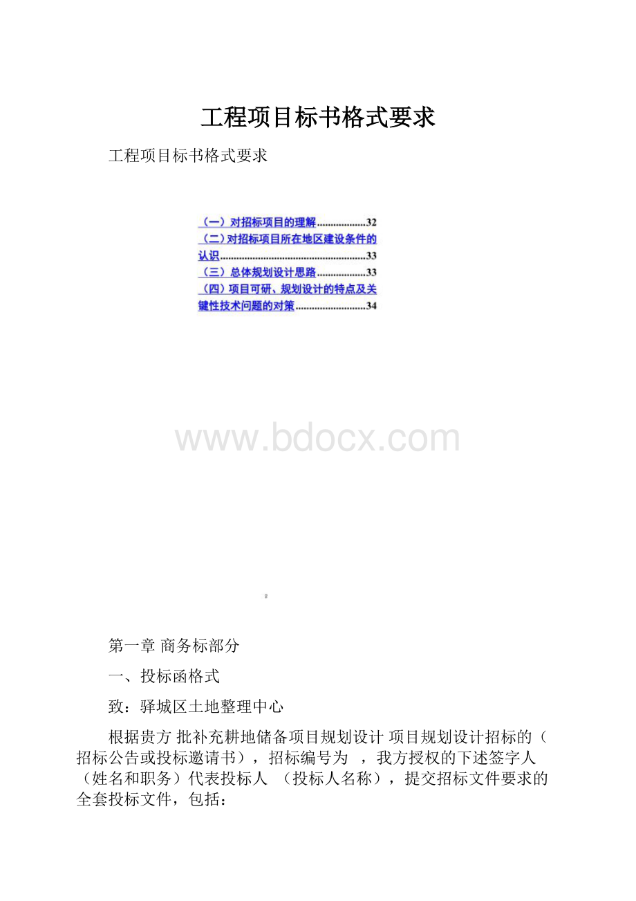 工程项目标书格式要求.docx_第1页