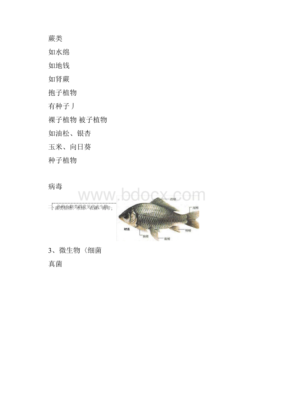 完整八年级上册生物复习提纲完整整理.docx_第2页