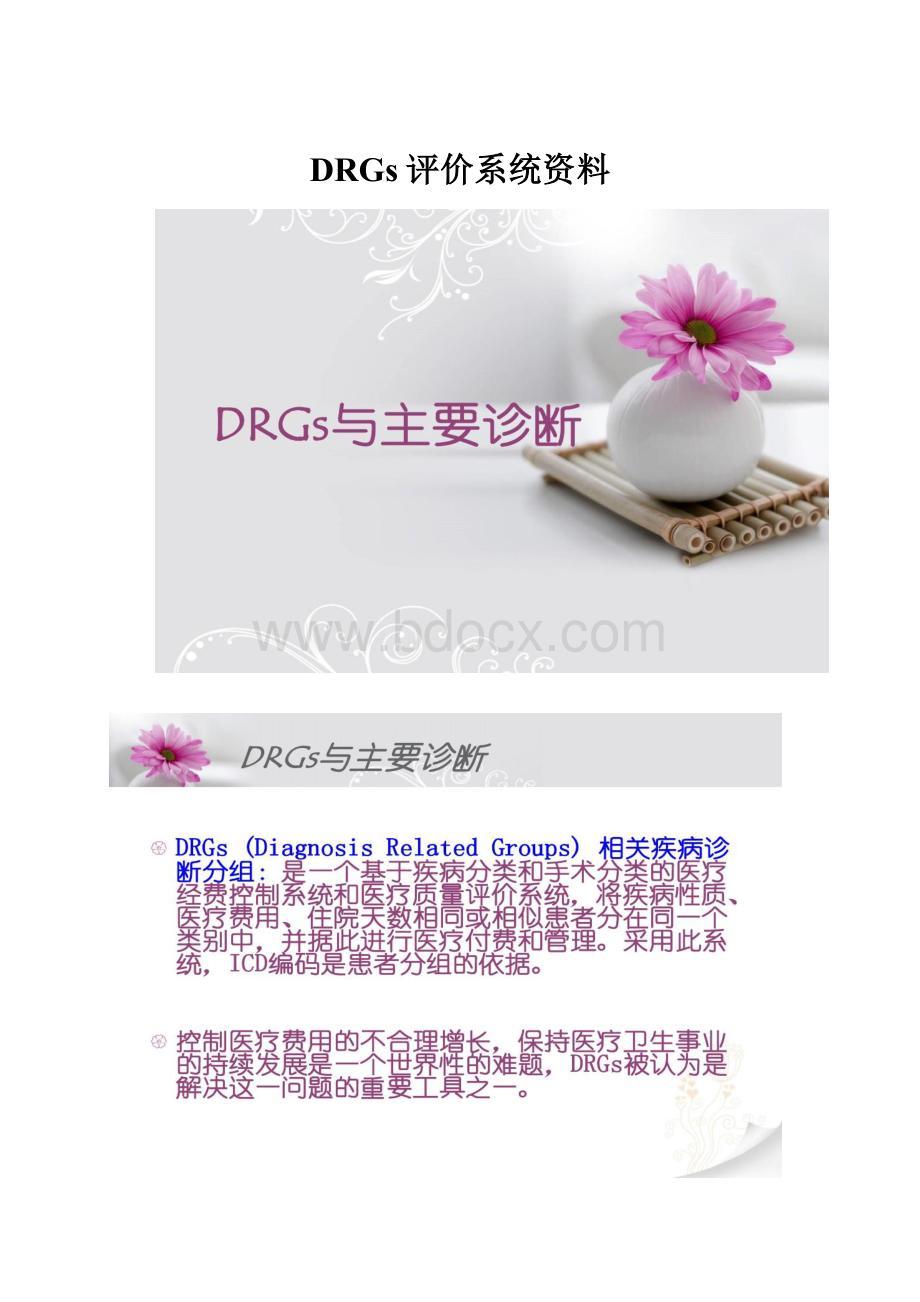 DRGs评价系统资料Word文件下载.docx