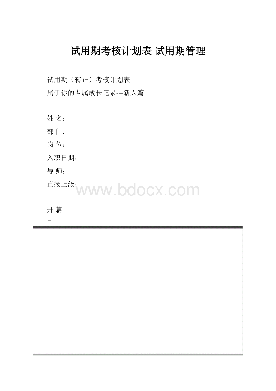 试用期考核计划表 试用期管理Word文档下载推荐.docx