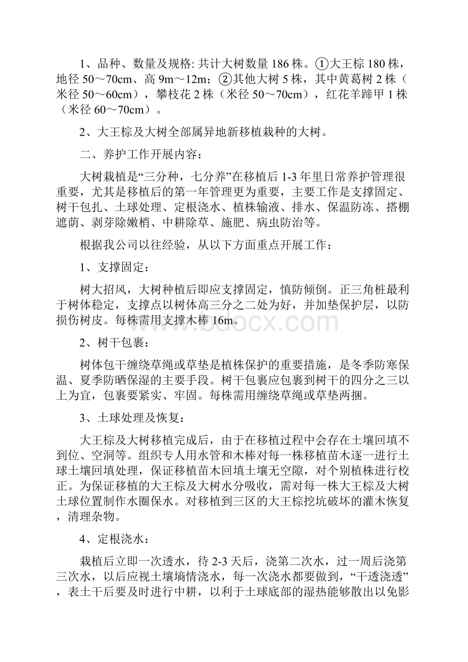 大王棕及大树养护方案1.docx_第2页